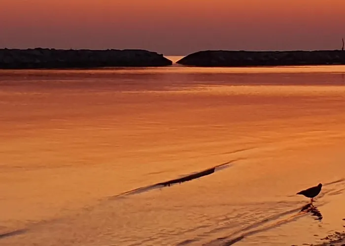 Playa Degli Angeli Maestrale